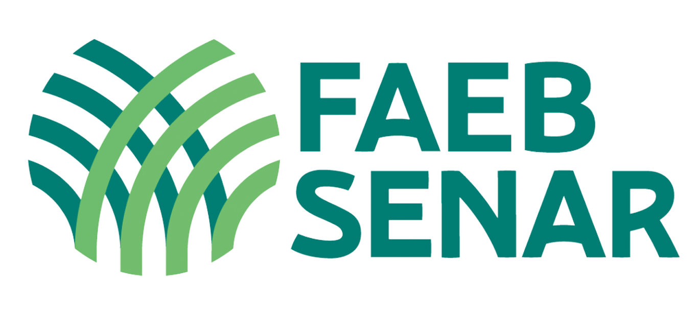 logo_faeb